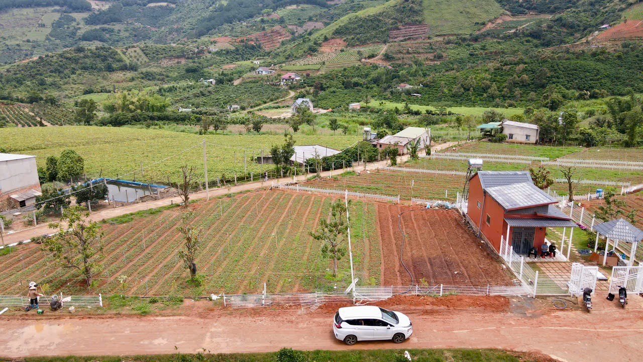 🏡 LÔ ĐẤT NAM BAN VIEW ĐẸP – THOÁNG MÁT VEN ĐÀ LẠT 🌿⛰️