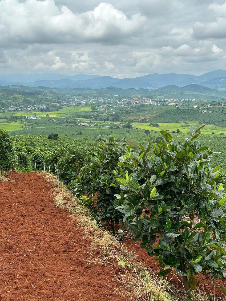 🌄 **BÁN ĐẤT VIEW ĐẸP NAM HÀ – LÂM HÀ, SĂN VƯỜN NGHỈ DƯỠNG CỰC CHẤT**