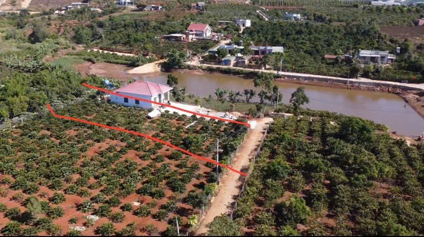🏡 MẢNH ĐẤT SÀO 1000M² CẠNH HỒ BÃI CỒNG NAM BAN 🌿🌊
