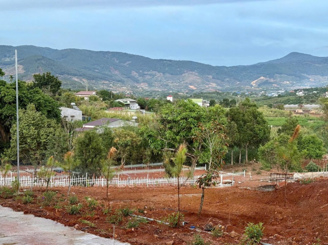 🏡 BÁN ĐẤT NAM BAN VEN ĐÀ LẠT – GIÁ CHỈ 470 TRIỆU 🌿✨