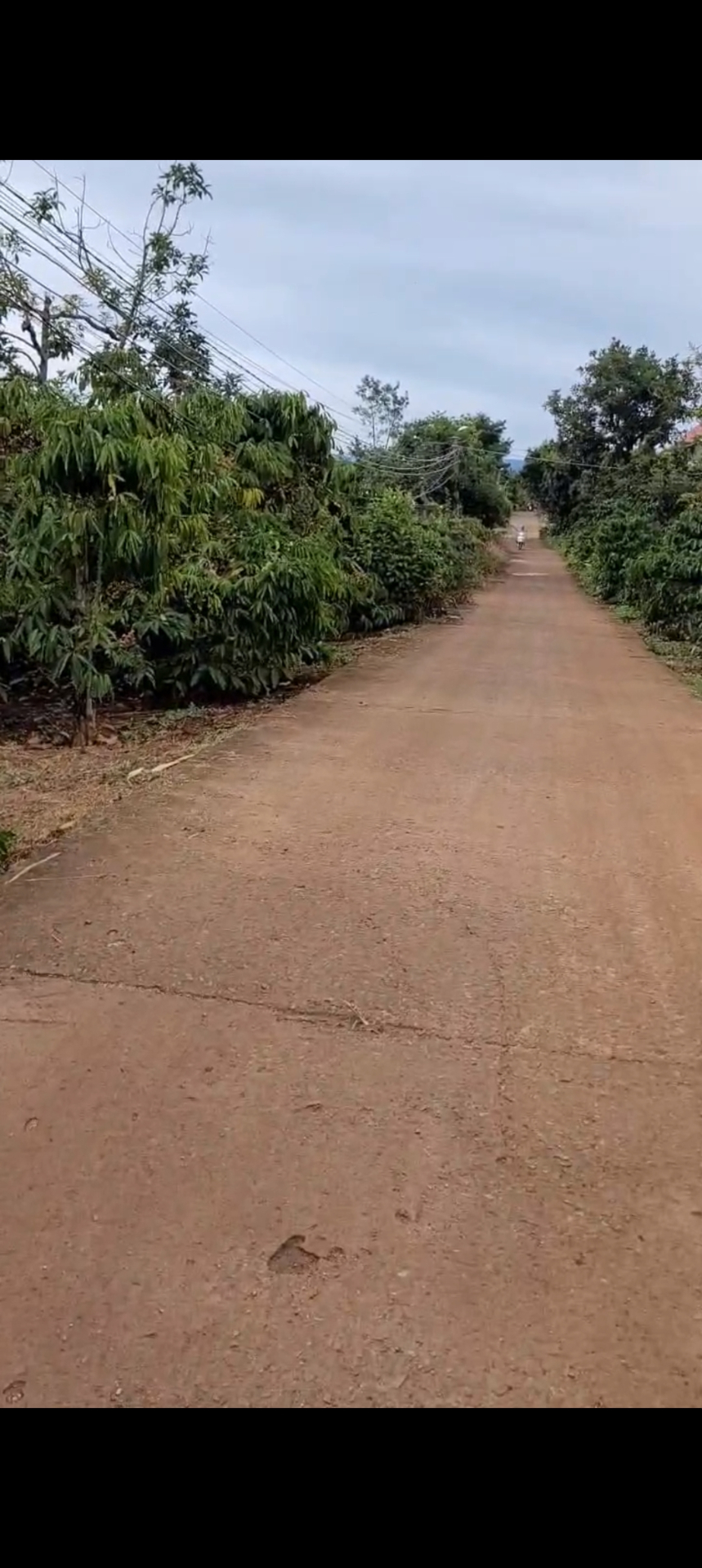 BÁN ĐẤT MẶT TIỀN BÊ TÔNG 30M – NỞ HẬU 34M – CÓ 400M² THỔ CƯ GẦN KHU DÂN CƯ