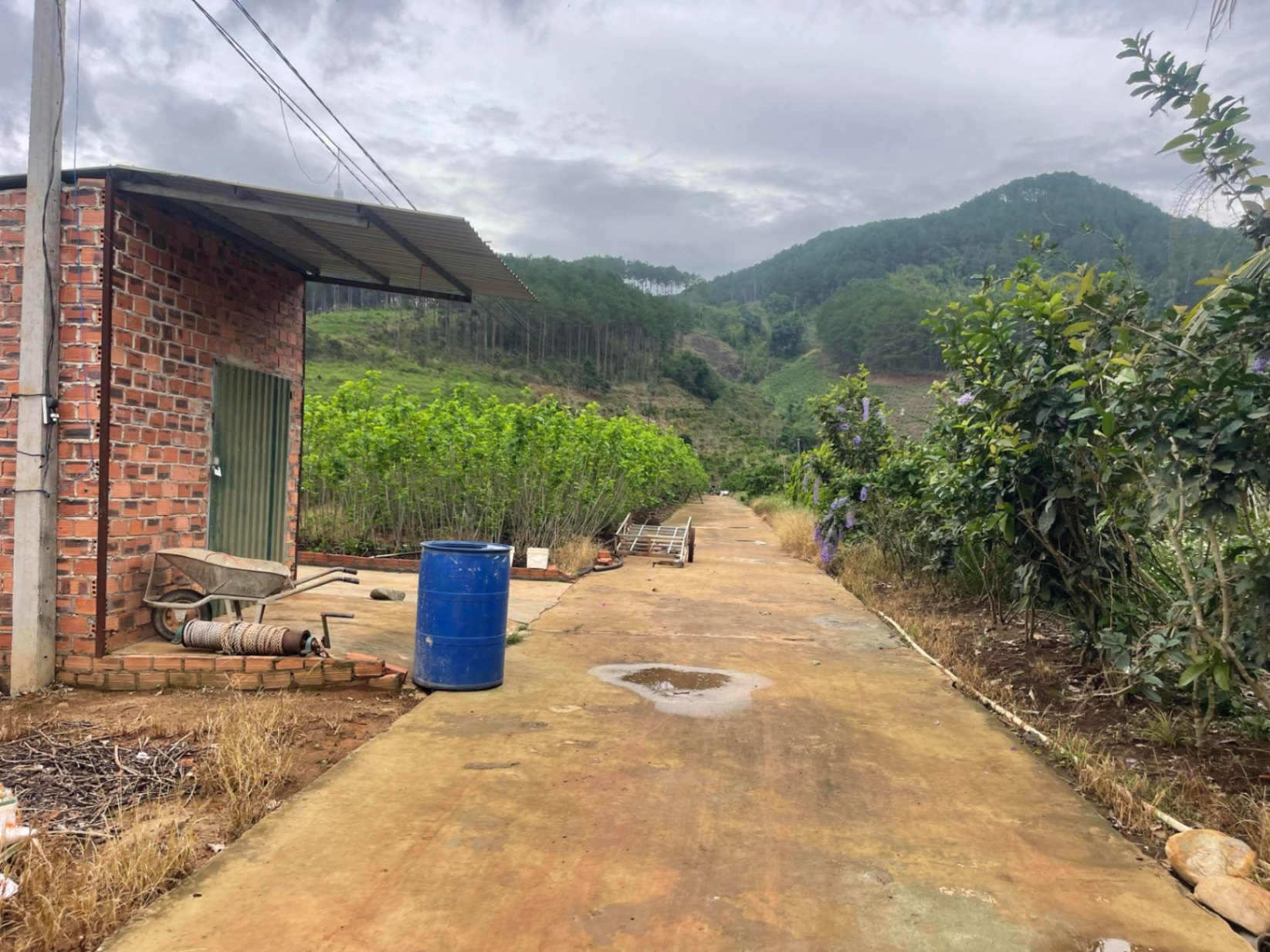 SỞ HỮU NGAY 4000M² ĐẤT VEN ĐÀ LẠT – 120M MẶT TIỀN BÊ TÔNG, CÓ SUỐI TỰ NHIÊN, SẴN THỔ CƯ