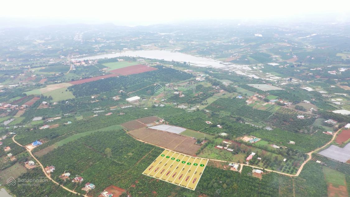 📍 BÁN ĐẤT ĐẸP TÂN HÀ – LÂM HÀ, LÂM ĐỒNG! VEN ĐÀ LẠT