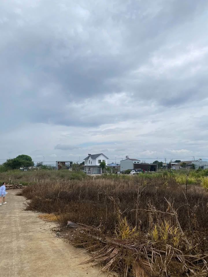 bán đất đức trọng