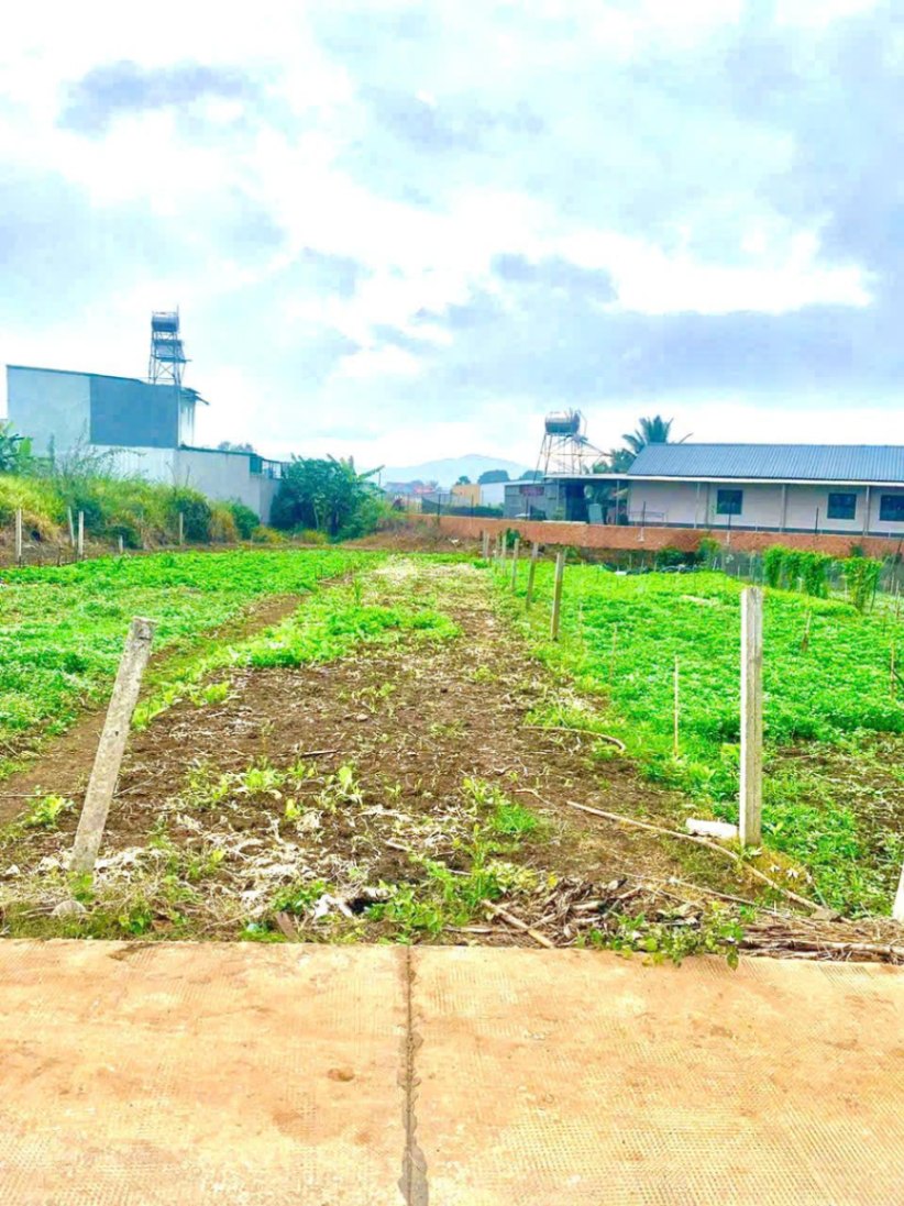 🏡 **BÁN NHANH 1.000m² GẦN HỒ NAM SƠN – LIÊN NGHĨA, ĐỨC TRỌNG** 🏡