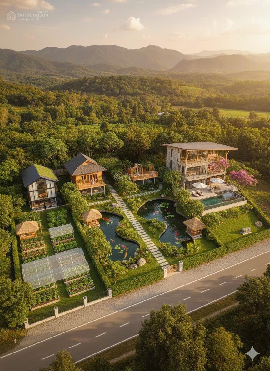 🔥 BÁN GẤP ĐẤT PHƯỜNG CAM LY – ĐÀ LẠT 🔥 🌿 Vị trí đẹp – Đường DT725 – Tiềm năng đầu tư cao