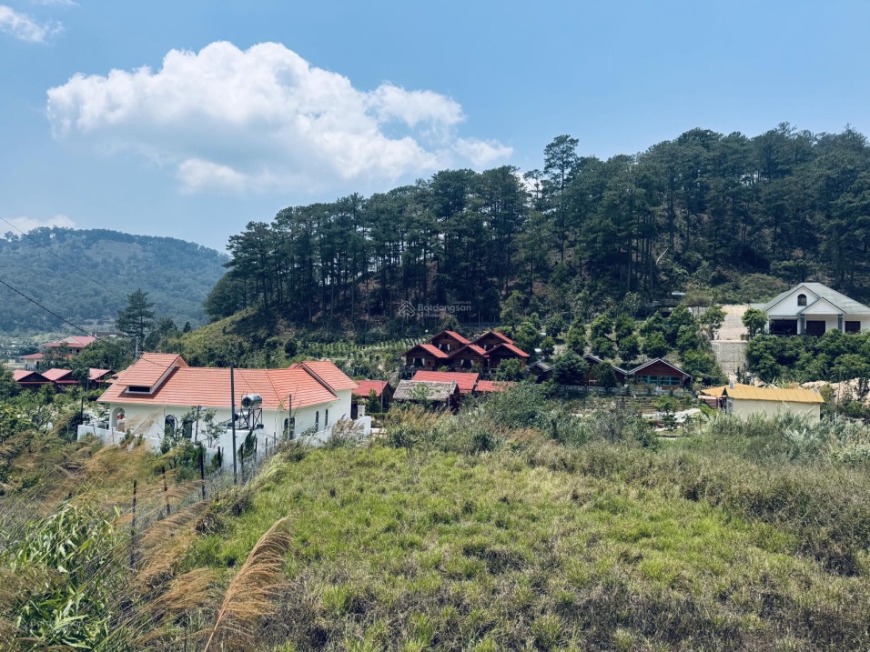 🔥 ĐẤT DƯỚI CHÂN ĐÈO PRENN – VEN ĐÀ LẠT – GIÁ CHỈ 10 TRIỆU/M² 🌿 Không gian nghỉ dưỡng giữa rừng thông