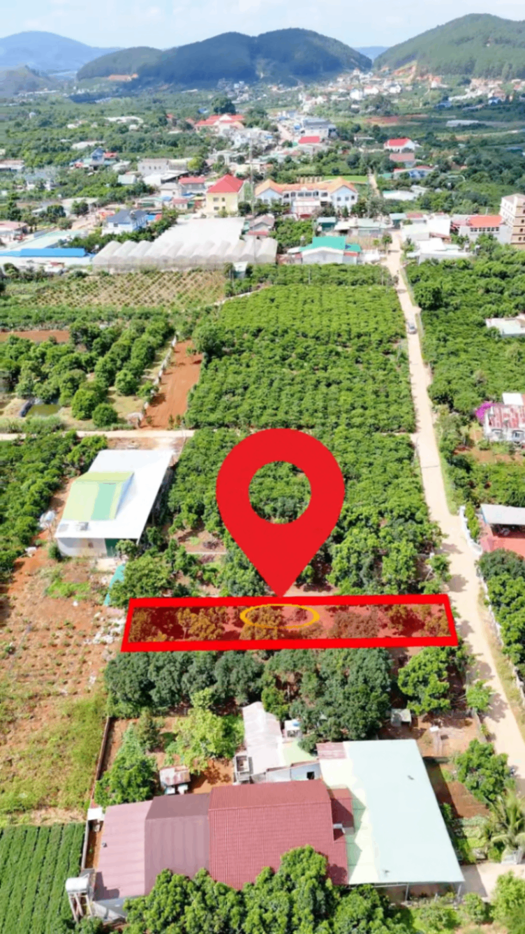 👉 457m² Đất Nam Ban Ven Đà Lạt Nở Hậu Có 121m² Thổ Cư Chỉ 2 Tỷ 500 Triệu