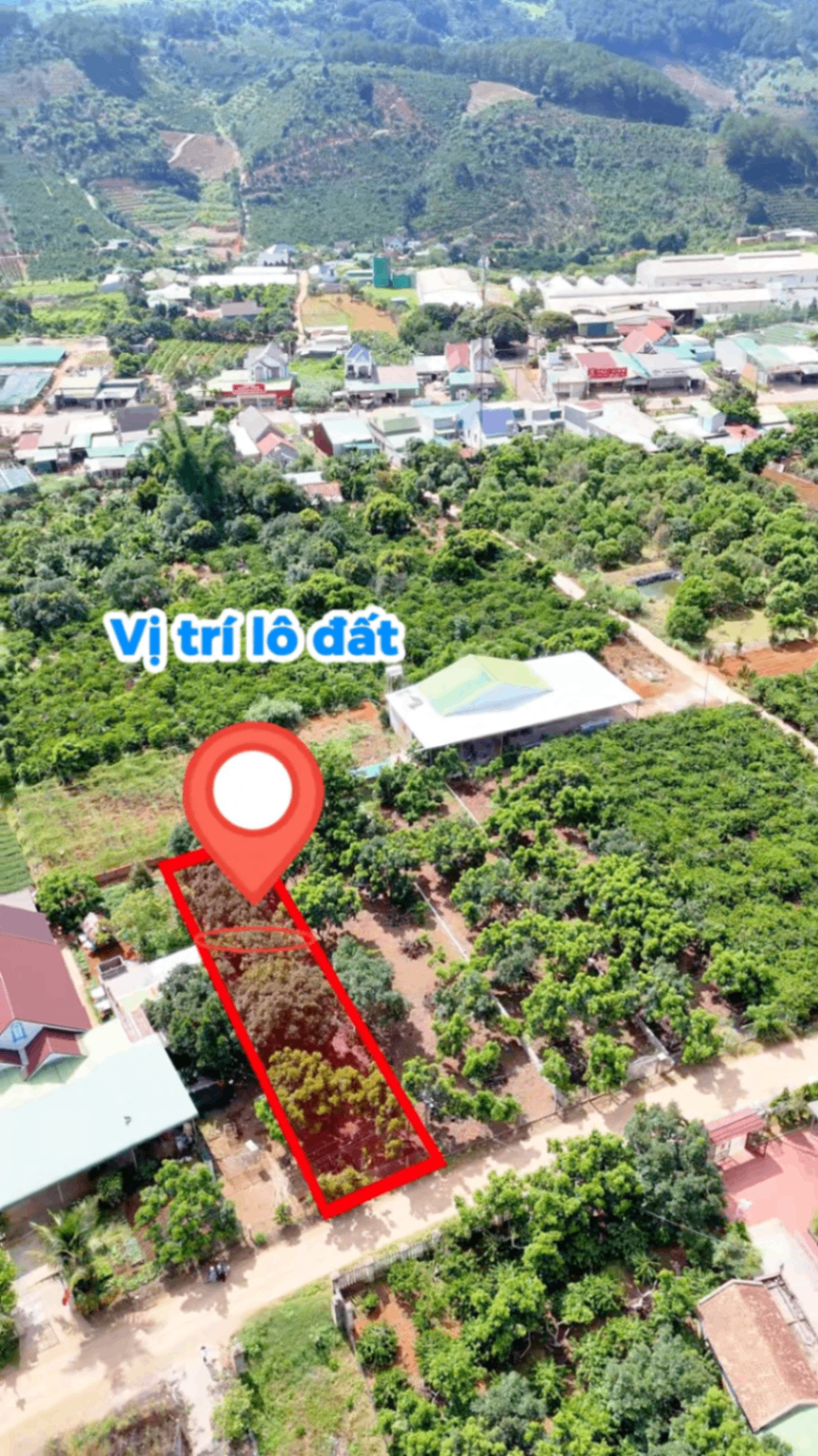 👉 455m² Đất Nam Ban Ven Đà Lạt Nở Hậu Có 121m² Thổ Cư Chỉ 2 Tỷ 500 Triệu