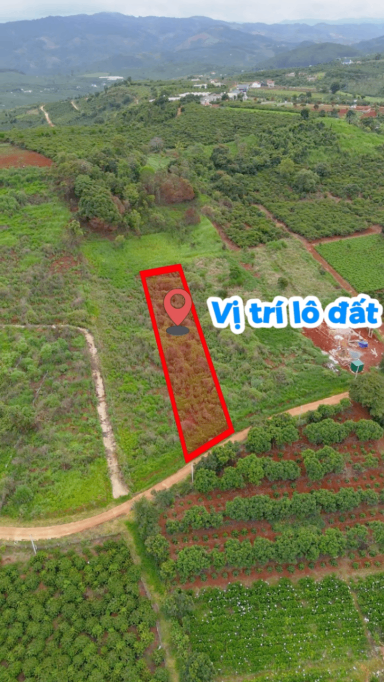 🏡 Chỉ 2 Tỷ 600 Triệu Sở Hữu 2.118m² Đất Nam Ban Có 200m² Thổ Cư View Đep Giáp Thông