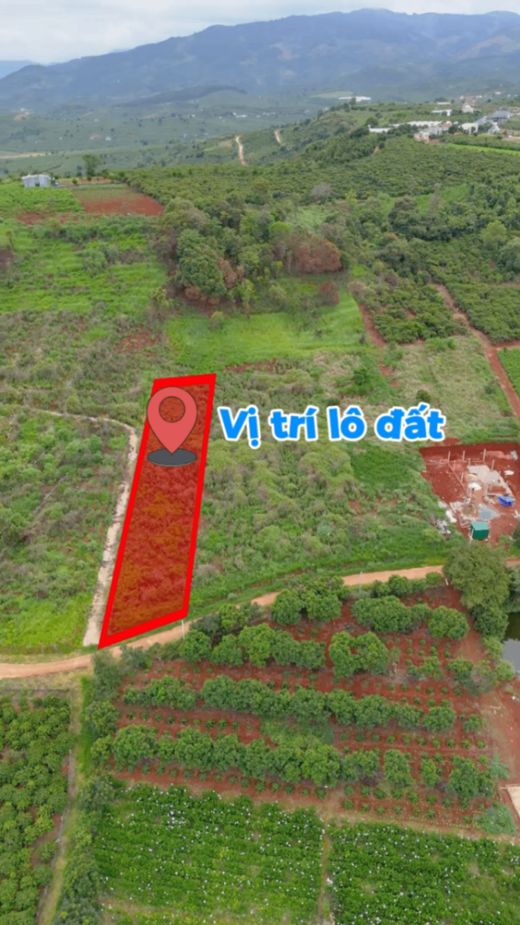 🏡 2.118m² Đất Ven Đà Lạt Ngang 20m Có 200m² Thổ Cư Giá 2 Tỷ 600 Triệu
