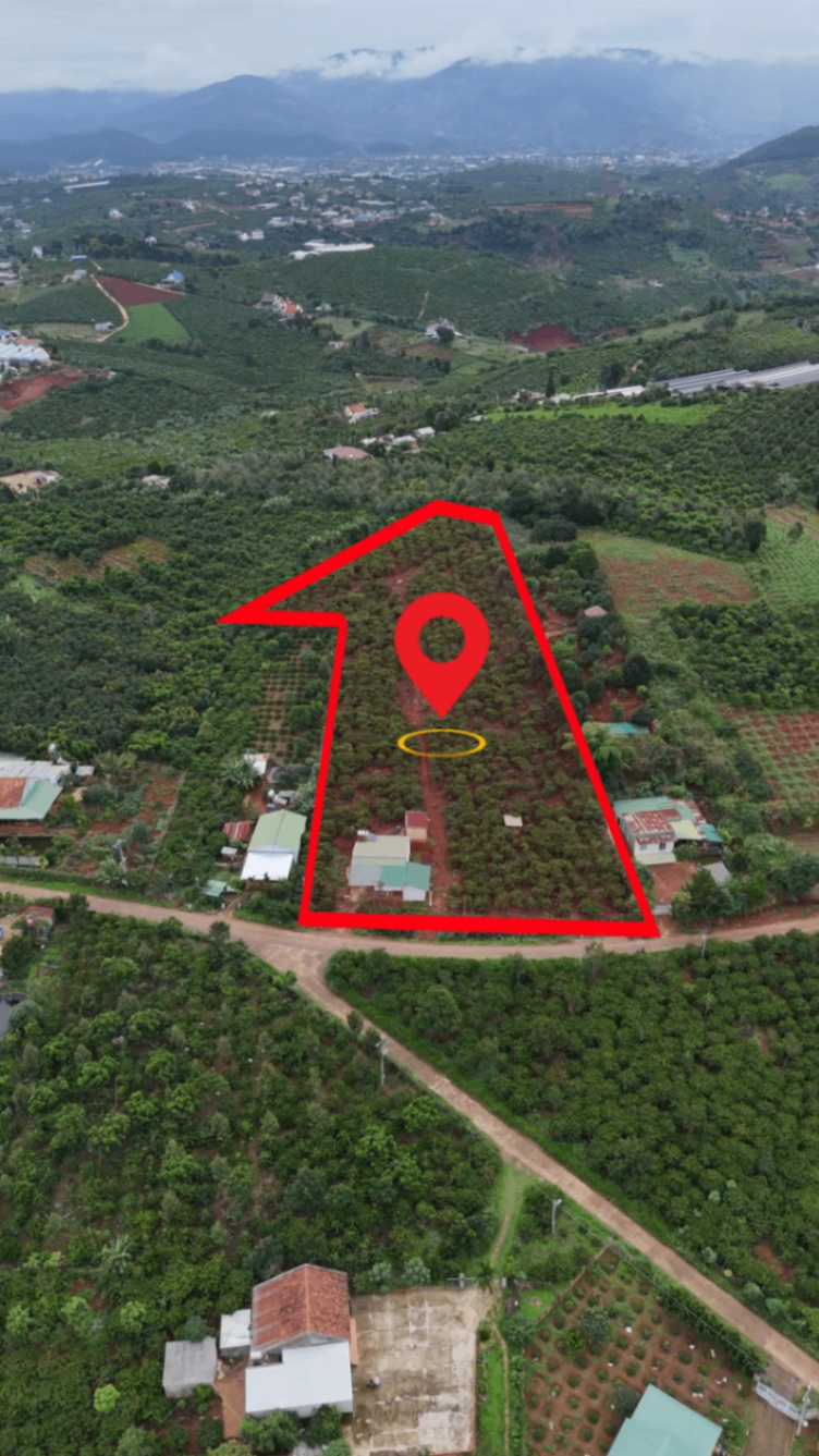 🏡 Quỹ Đất Hiếm 8.111m² Mặt Tiền 60m Ven Đà Lạt Giá 7 Tỷ 500 Triệu