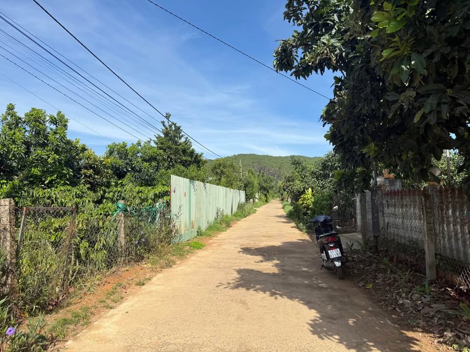 Bán đất Trung Tâm Mê Linh - Lâm Hà
