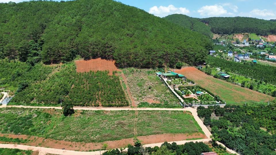 🌲 ĐẤT NGHỈ DƯỠNG CẬN ĐÀ LẠT – TỰA ĐỒI THÔNG, VIEW CỰC CHILL