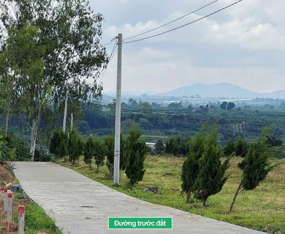 🌲 Mảnh vườn nhỏ xinh dành cho ai mê không khí chill ven Đà Lạt 🌿