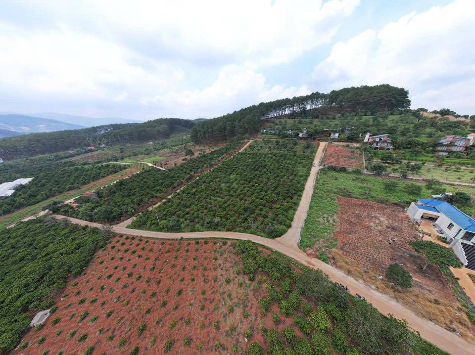 Đất Ngay Khu Nghỉ Dưỡng Nacasoo hill Mê Linh Lâm Hà