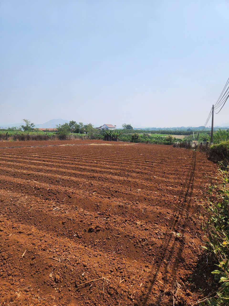 BÁN ĐẤT VIEW ĐẸP N,THÔN HẠ