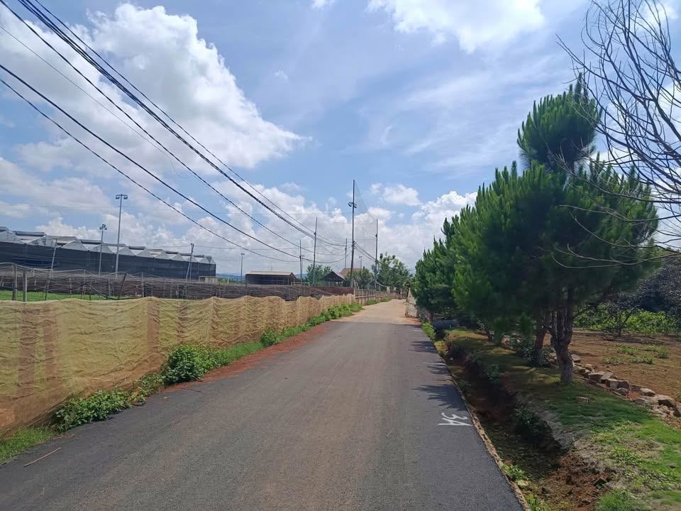 ĐẤT BÌNH THẠNH – ĐỨC TRỌNG