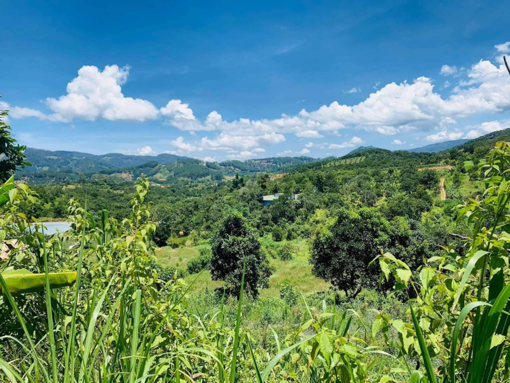 BÁN NHÀ VƯỜN ĐẸP