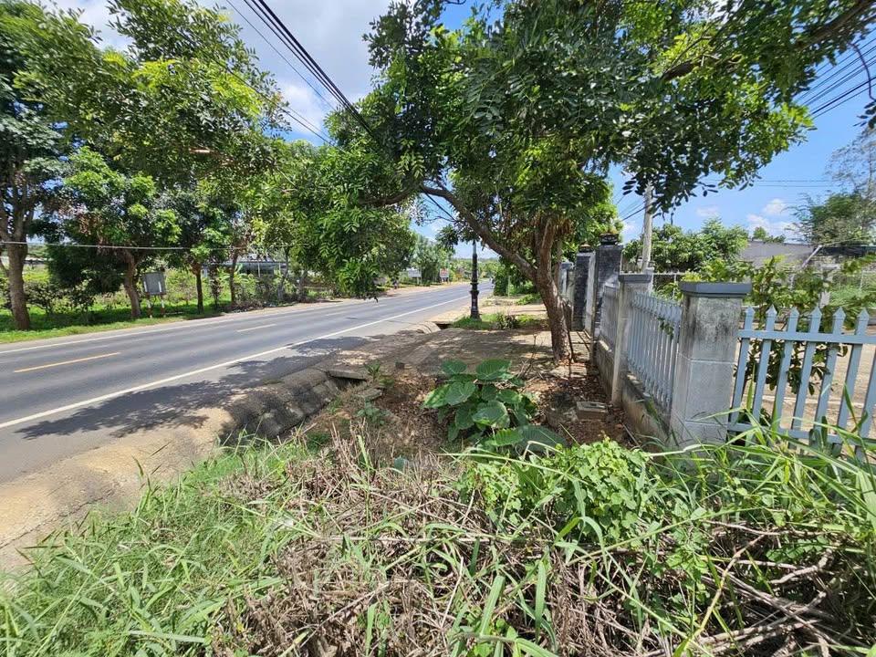 Bán lô đất mặt tiền QL 20 Phú Hội Đức Trọng