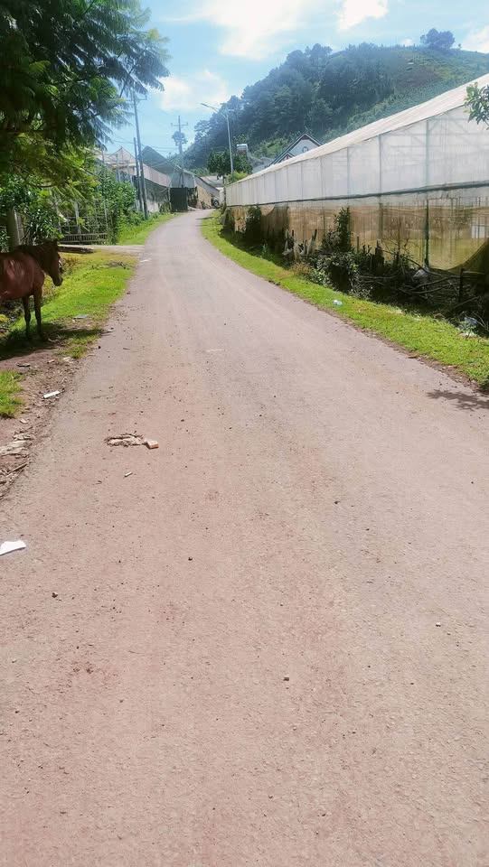 Đất mặt tiền đường nhựa giá rẻ tại phường LangBiang