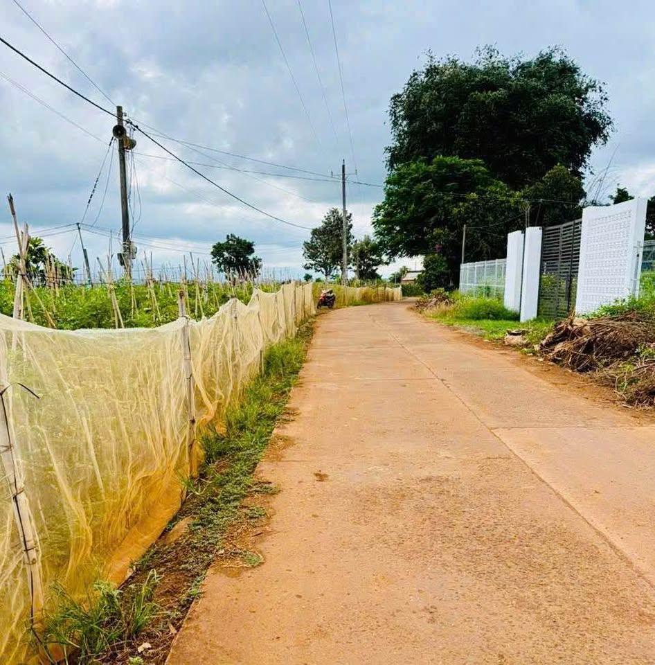 Cần bán 1000m2 ( 1 sào) có 75m2 đất ở. Đất thuộc Tân Hội