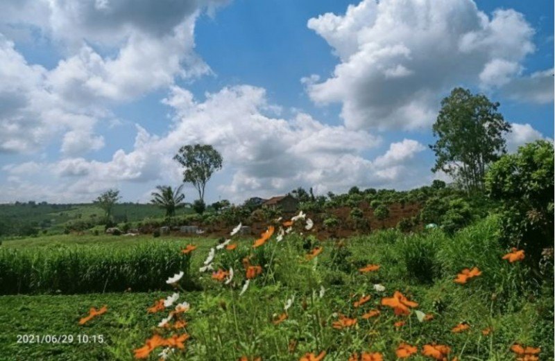 🌿 BÁN ĐẤT NGHỈ DƯỠNG VIEW HỒ PHÚC THỌ – LÂM HÀ, LÂM ĐỒNG 🌿