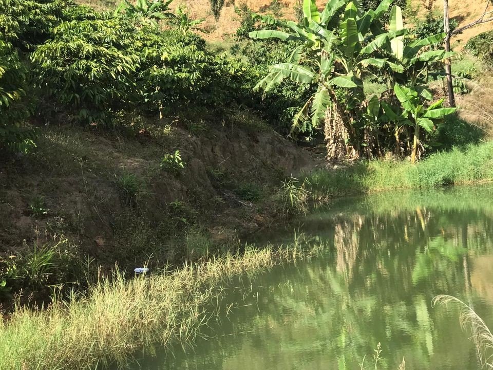 🌿 BÁN ĐẤT VIEW ĐẸP TẠI PHÚ SƠN – LÂM HÀ 🌿