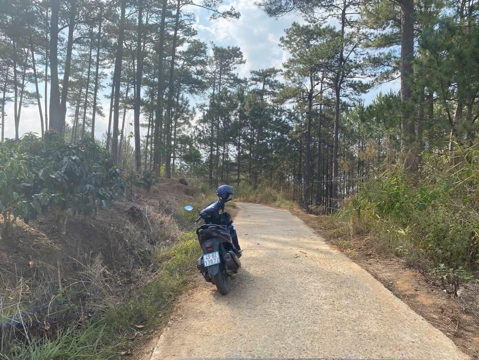 Xuân Trường -Phường Xuân Trường - Đà Lạt ( view săn mây)
